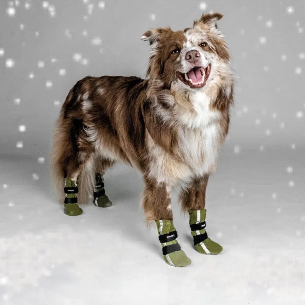 Halla fleecetosdut heijastimilla, näillä tossuilla suojaat koirasi tossut talvipakaksilla