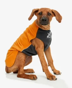 Ruskea koiranpentu, jolla fleecepaita päällänsä